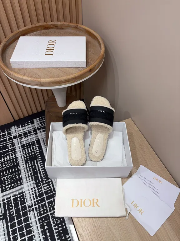 Dior Shoe 